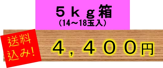 秋映,りんご,林檎,産直市場,信州,長野