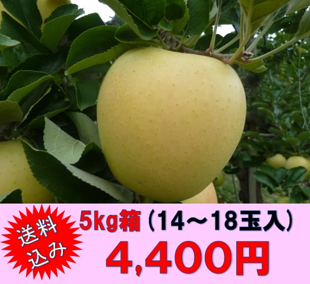 シナノゴールド,信州,長野,産直市場,りんご