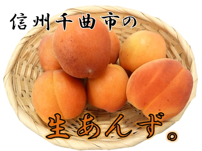 À¸¤¢¤ó¤º¡¦¥Ï¡¼¥³¥Ã¥È