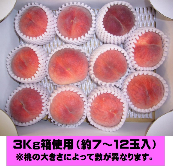 川中島白桃,桃,もも