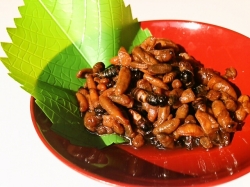 虫・昆虫食・蜂の子甘露煮