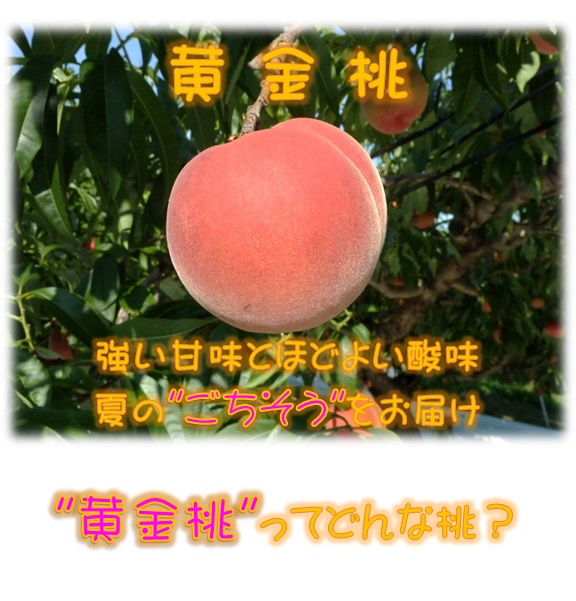 桃,黄金桃,ヤマサン