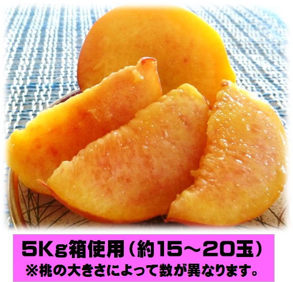 桃,黄金桃,長野