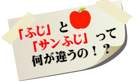 信州サンふじ,りんご