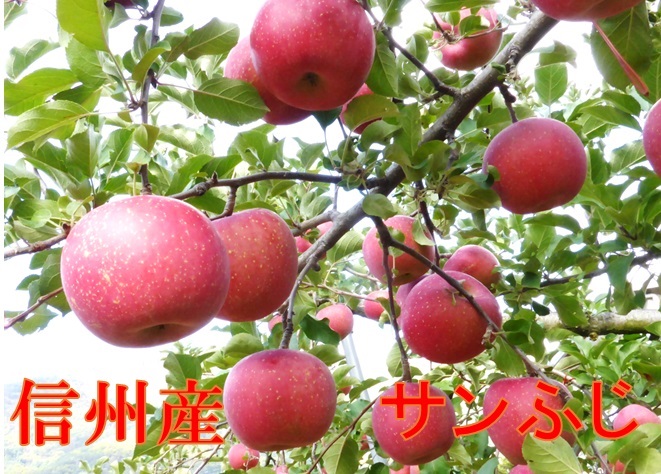 産直市場ヤマサン,りんご,千曲市,長野,信州