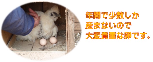 烏骨鶏卵,児玉農園,卵かけ,ご飯