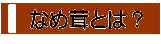 元祖味・えのき・なめ茸・信州・瓶詰・手作り・なめ茸とは？