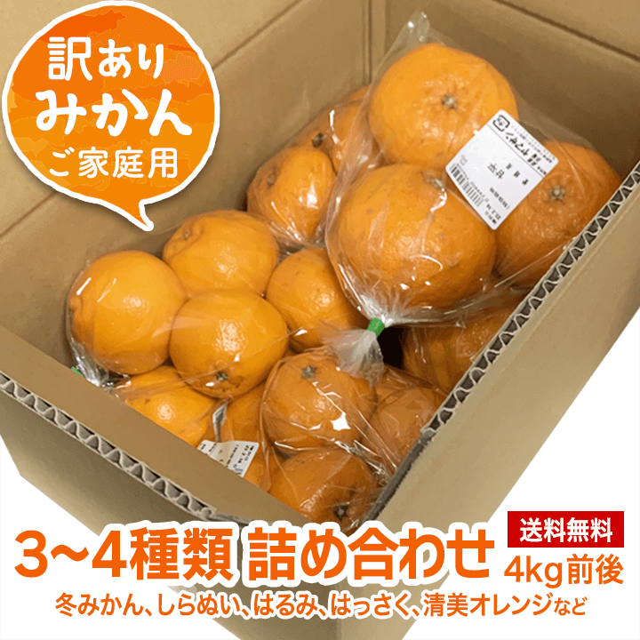 送料無料】柑橘類 みかん詰め合わせ３～４種（種類おまかせ） 4.0kg前後 訳ありご家庭用