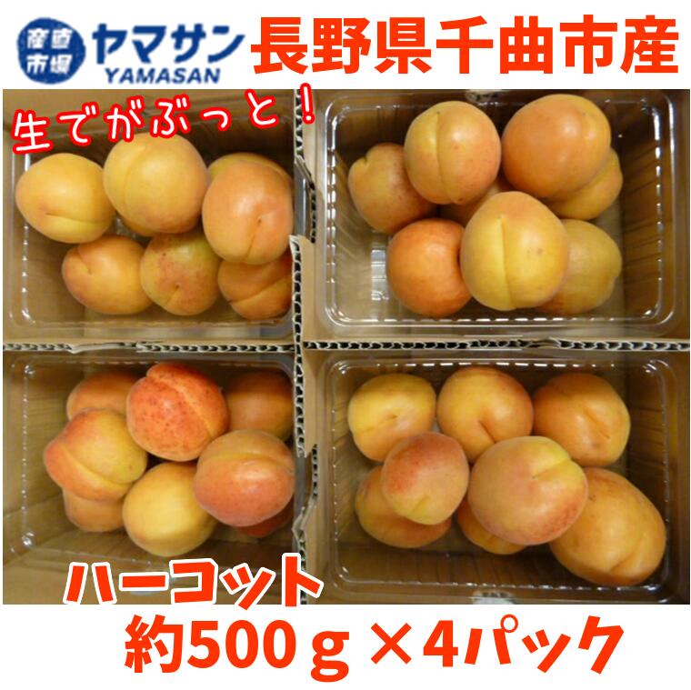 信州千曲の産直ショップ！信州産あんず、なめ茸、昆虫食は産直市場ヤマサン！