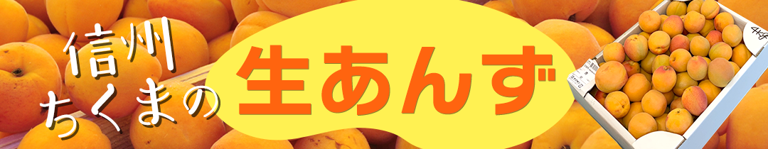 信州ちくまの生あんずバナー