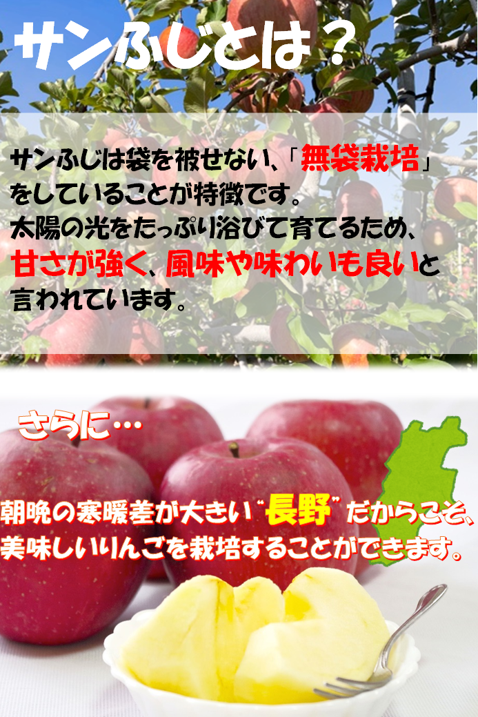 ご家庭用　送料込】長野県産りんごサンふじ　１０ｋｇ箱