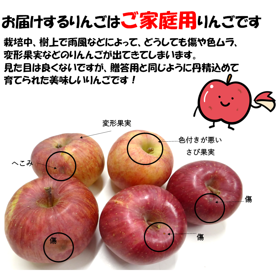 りんご　サンふじ
