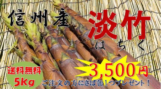 淡竹,長野県産淡竹,はちく,さば缶,たけのこ汁,はちく