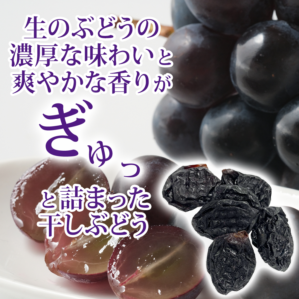 長野県産 干しぶどう極 ナガノパープル 100g 無添加 砂糖不使用