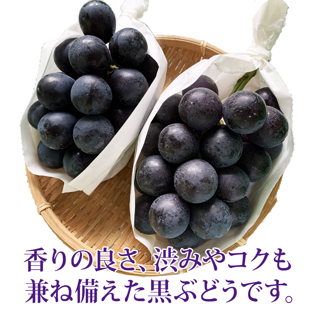 干しぶどう極きわみ