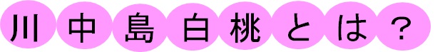 桃,川中島白桃,甘い,長野県