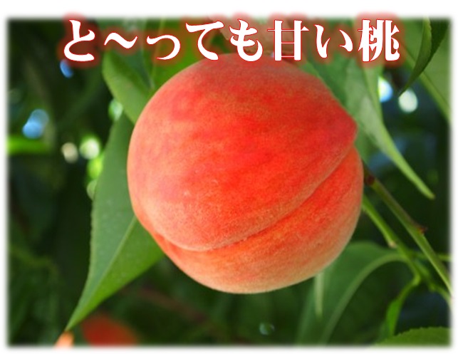 桃,川中島白桃,甘い,長野県