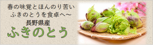 ふきのとう,ふきみそ,ふきのとう天ぷら,ふき,春の味覚