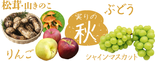 商品案内_秋2