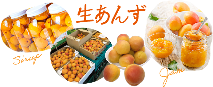 商品紹介_生あんず