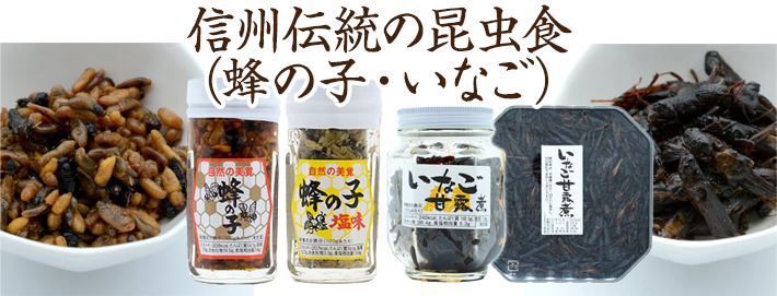 商品紹介_昆虫食