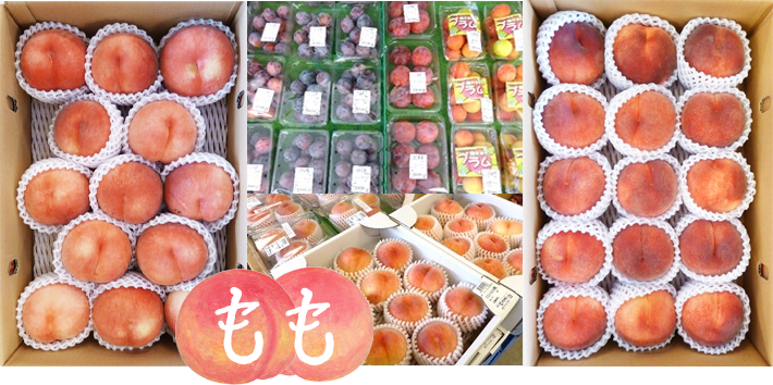 商品案内_桃