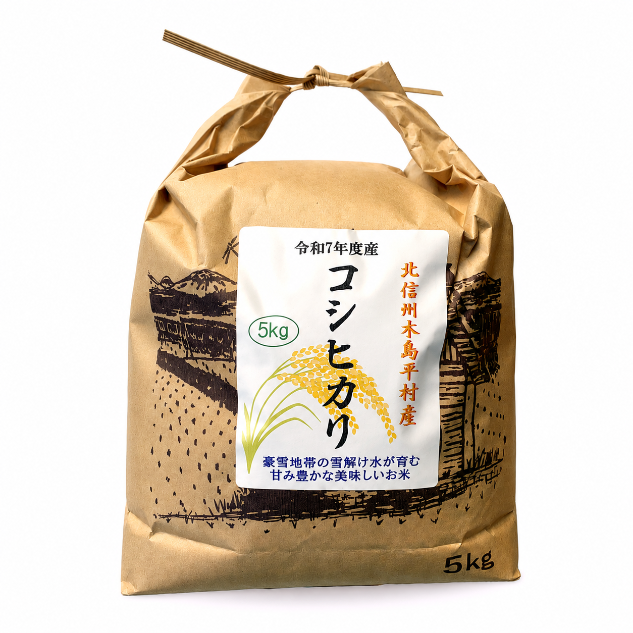 木島平産こしひかりコシヒカリ　5kg 10kg