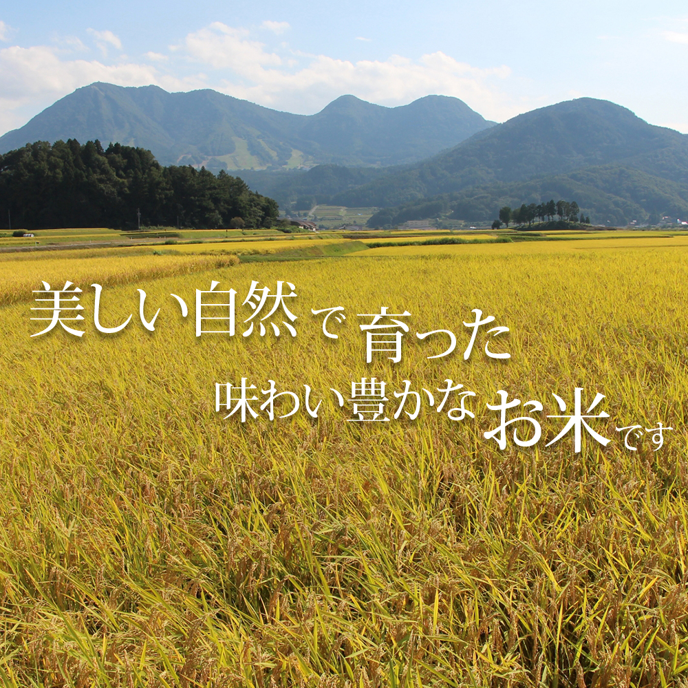 木島平村産こしひかり　コシヒカリ　5kg　10kg