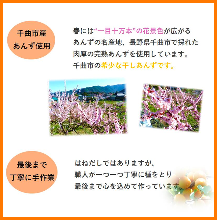 干し杏極はねだし250g