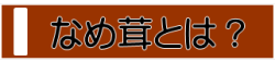 元祖味・えのき・なめ茸・信州・瓶詰・手作り・なめ茸