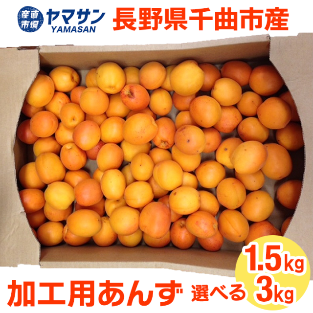 加工用あんず1.5kg・3kg