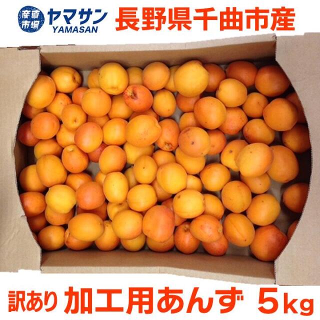 加工用あんず5kg