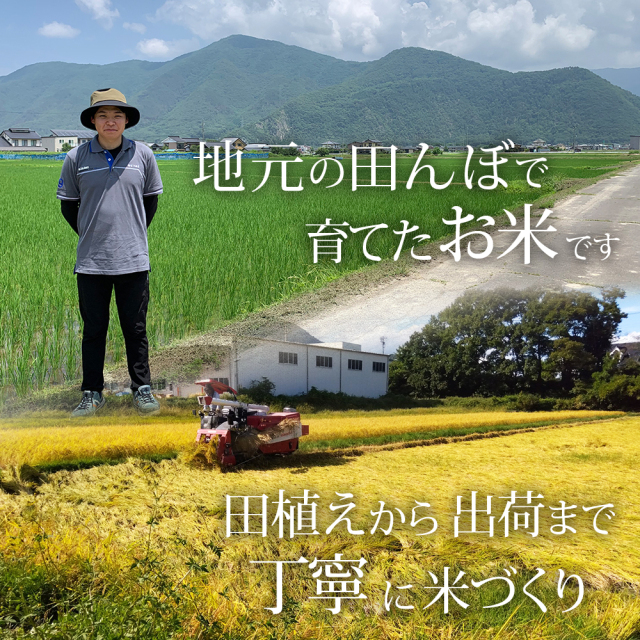 千曲市産コシヒカリ
