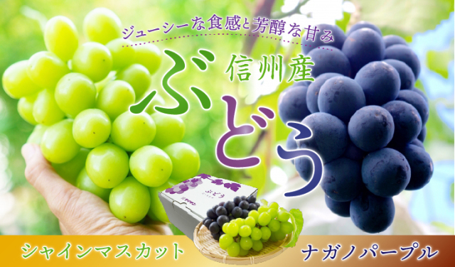 信州のぶどう