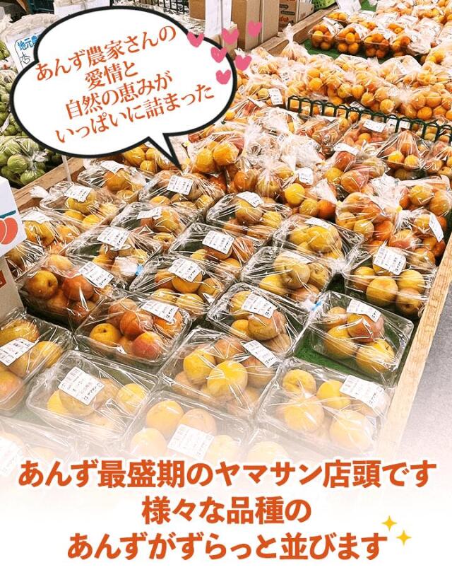 ヤマサン店頭