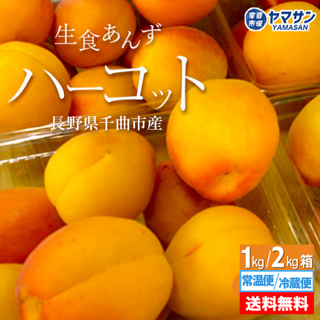 生あんず ハーコット 常温便 冷蔵便