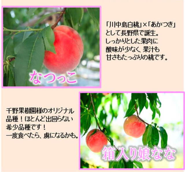 桃の種類２