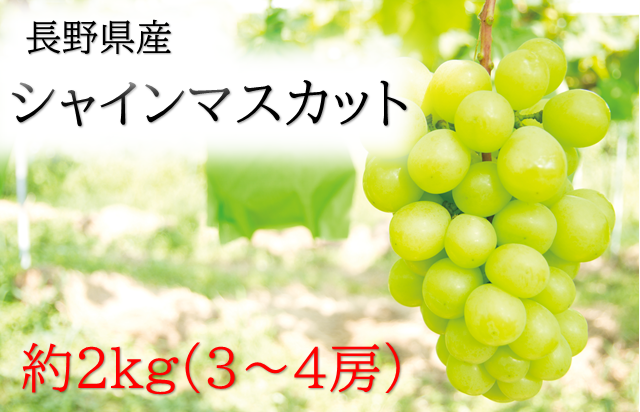 シャインマスカット ぶどう マスカット 2kg