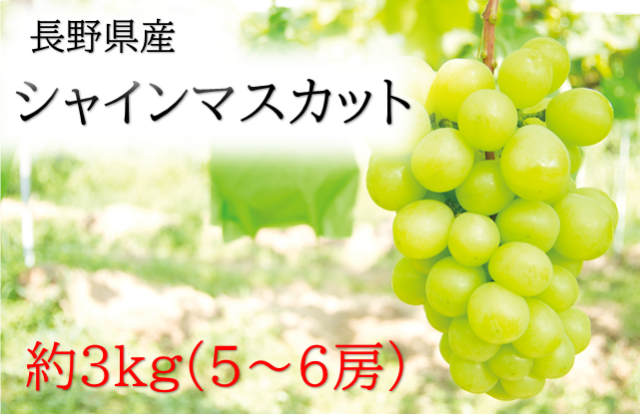 シャインマスカット ぶどう マスカット 3kg