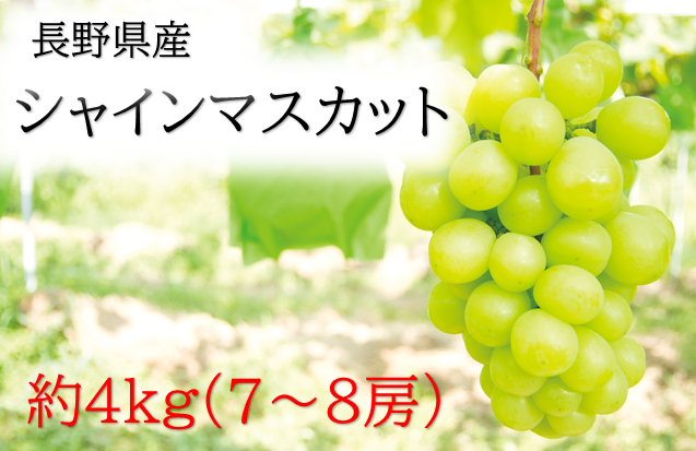 シャインマスカット ぶどう マスカット 4kg
