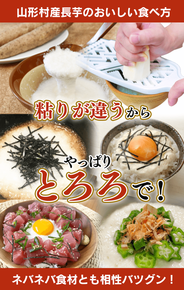 長いも,長芋,山形村,信州,ねばり,長野