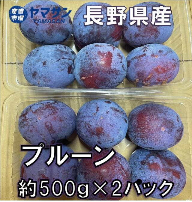 長野県産プルーン 生プルーン 約1kg【送料無料】生産量1位 ぷるーん