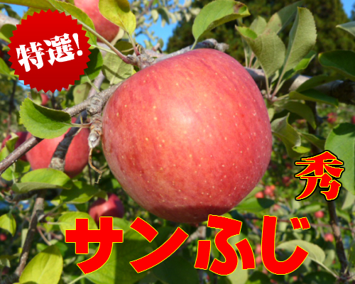 ご贈答用,信州長野県産,りんご,サンふじ