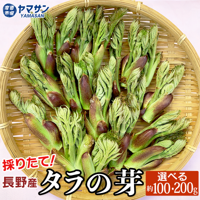 たらの芽