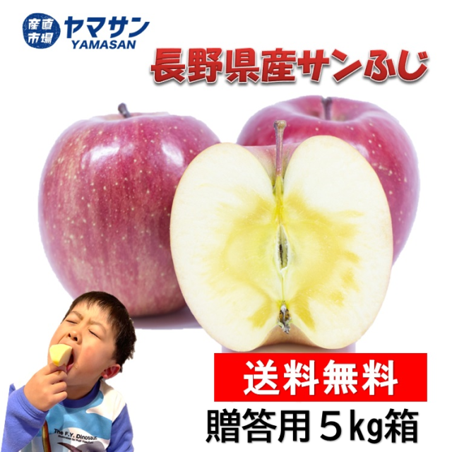 贈答りんご サンふじ 5kg