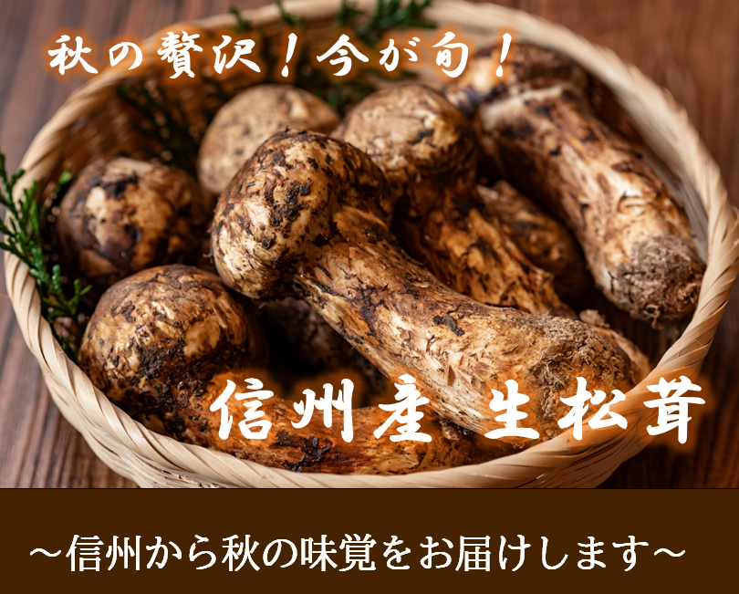 送料無料】長野県産松茸 200ｇ