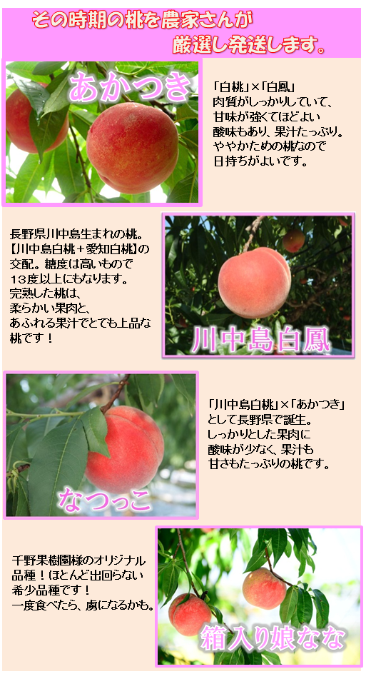 あかつき,川中島白鳳,箱入り娘なな,なつっこ,桃,もも