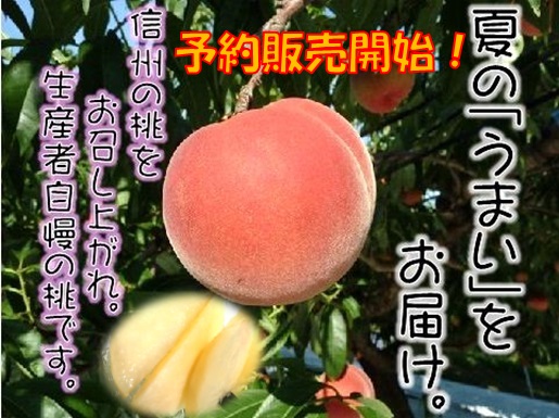桃,通販,川中島白桃,おどろき,お中元,もも