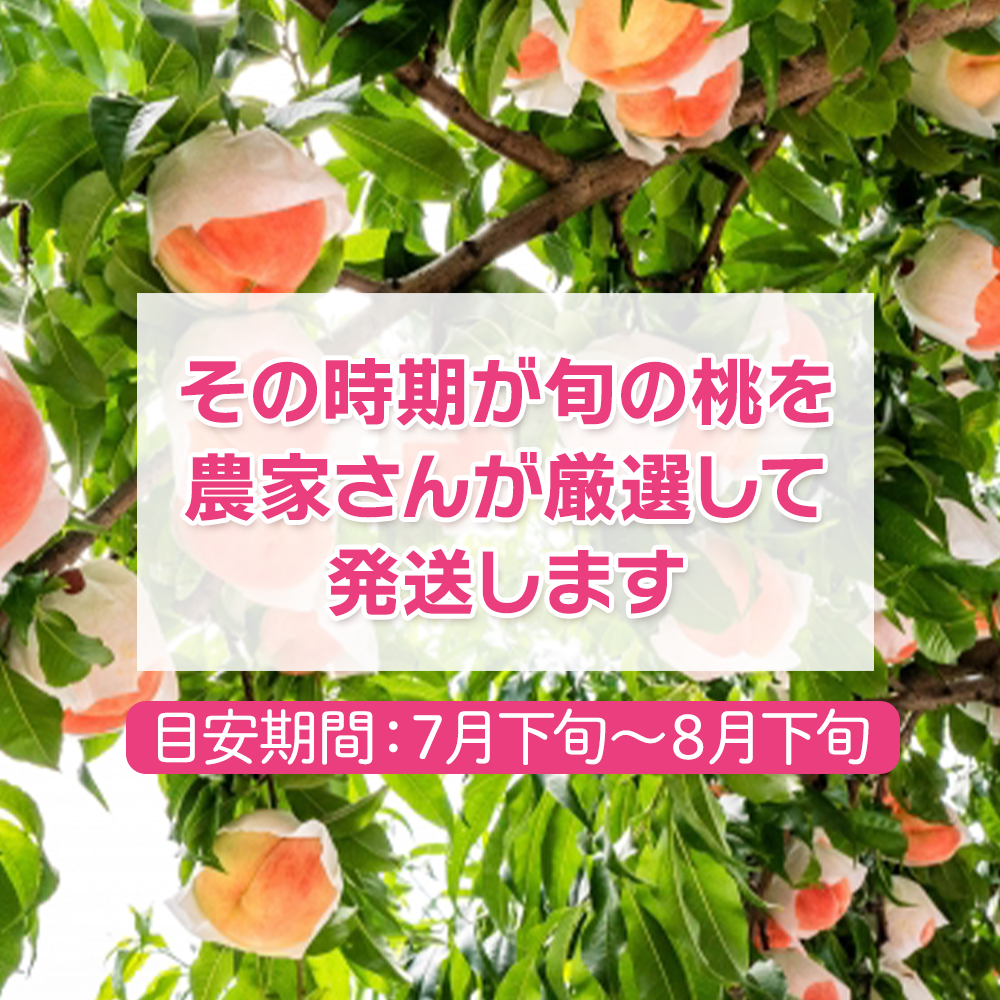 なつっこ,桃,もも,通販,ご贈答用,お中元