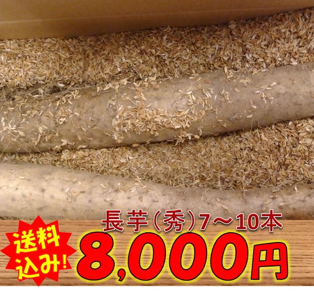 長いも,長芋,山形村,長野,産直市場,信州,野菜